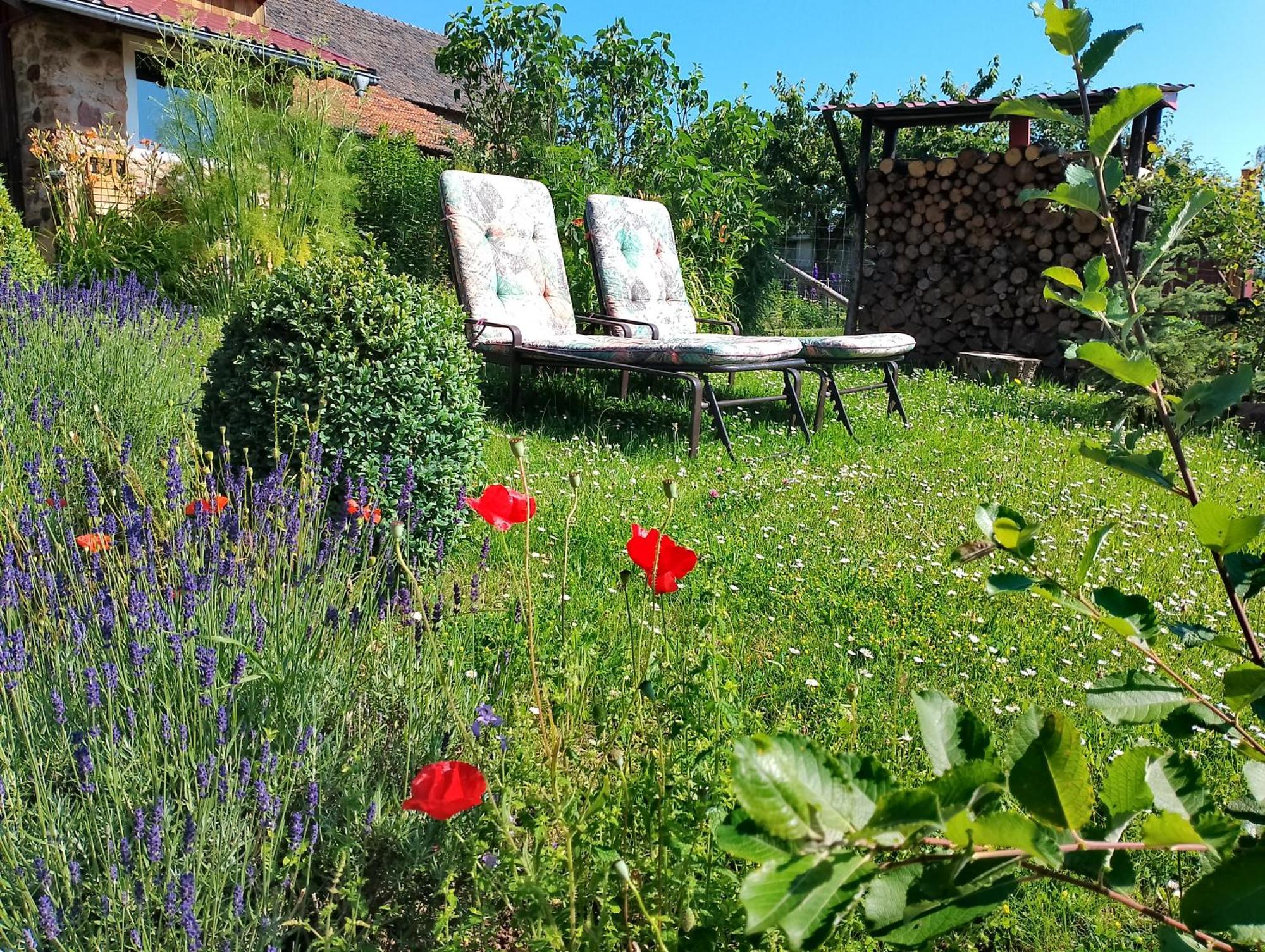 Loft Eifel Idylle Daire Nettersheim Dış mekan fotoğraf